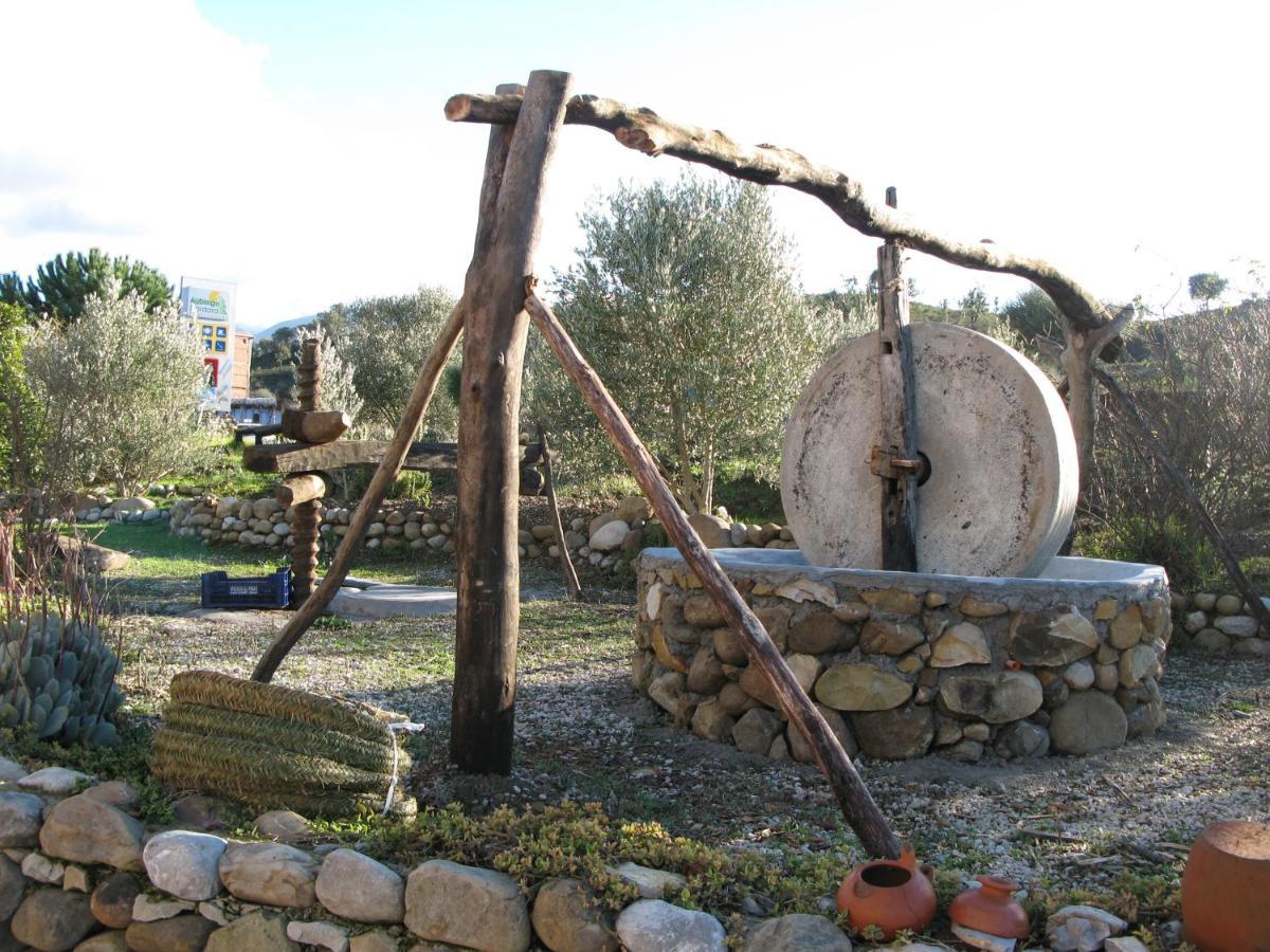 Auberge Dardara Derdara Exteriér fotografie